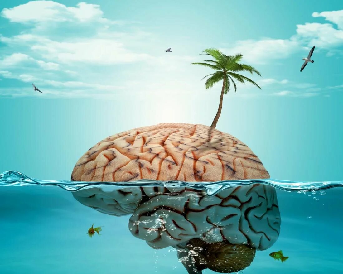 Мозг отдыхает. Расслабление мозга. Мозг на море. Расслабленный мозг.