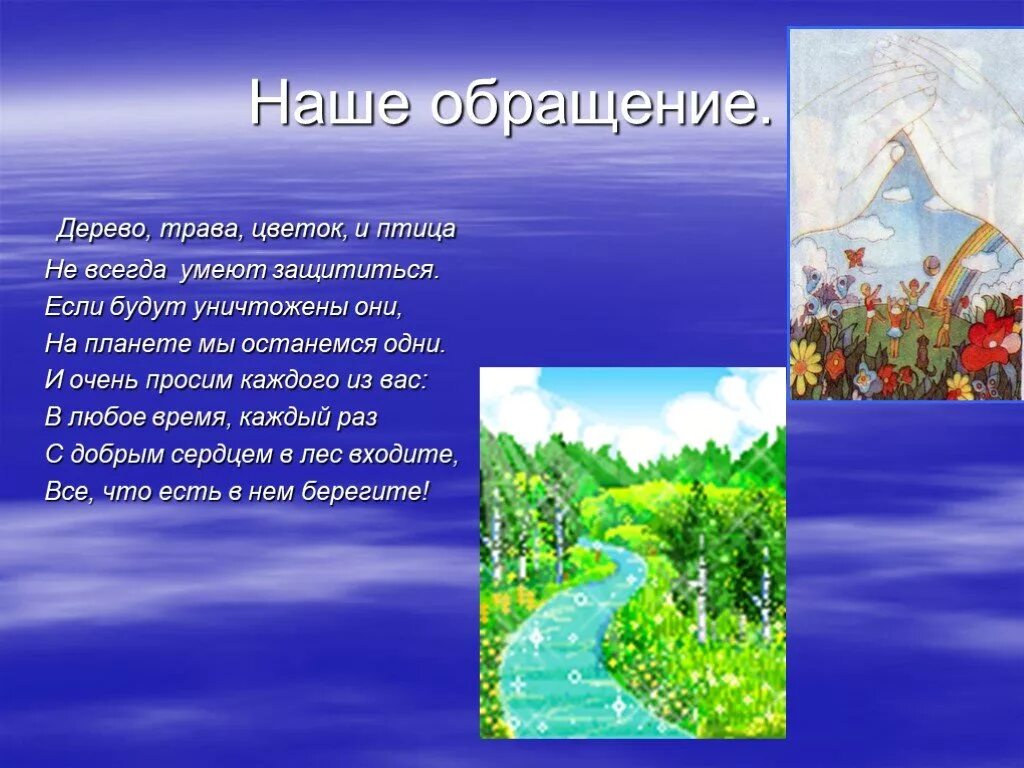 Любое время обращайтесь. Обращение растений к людям. Обращение растений к детям. Обращение от растений к людям. Обращение растений к людям берегите растения.