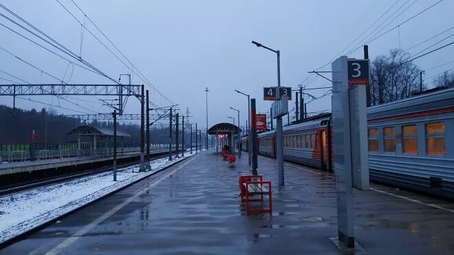 Электричка рыбацкое мга