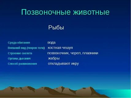 Внешних вод 2