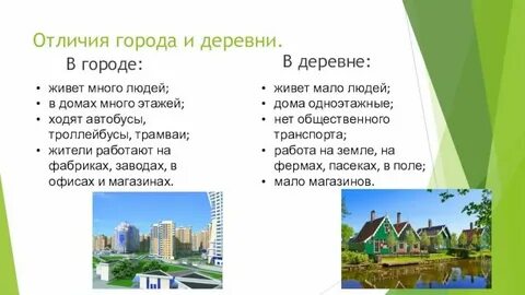 Село дает городу ответ