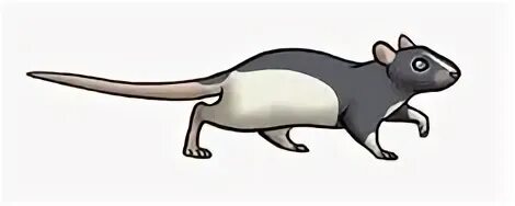 Skudbudd animation