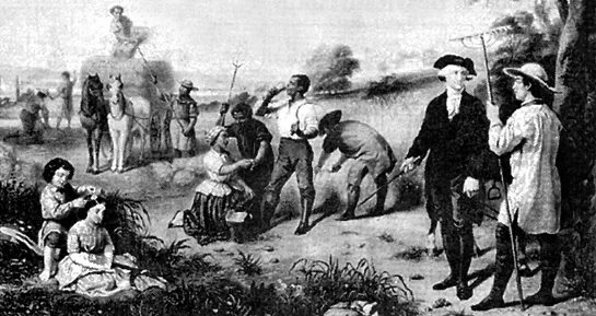 Плантаторы юга. Плантаторы юга. Рабовладельческие плантации сша 19 век. Рабство в сша 19 век. Хлопковая плантация сша 19 век.