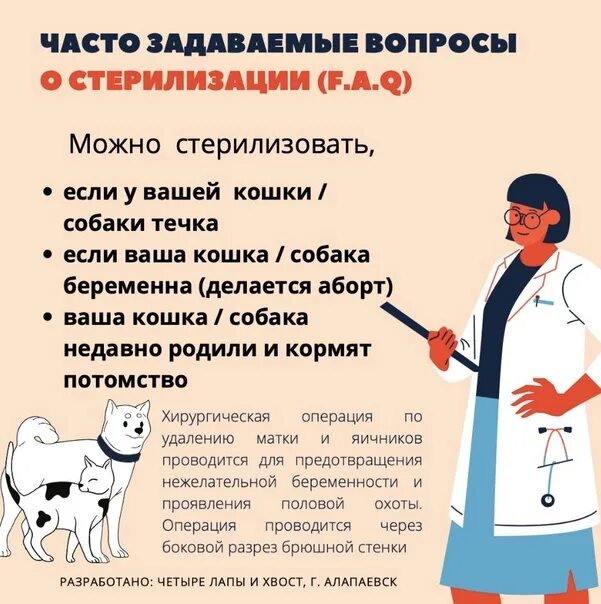 Как выглядит стерилизация собак В Мурманской области стерилизовать питомца можно по новогодним скидкам МК Мурм