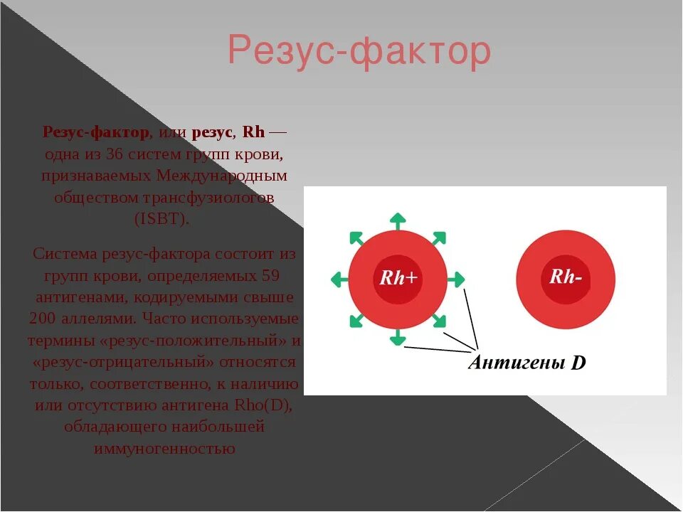 Группы крови человека: система резус-фактора.. Резус антигены крови. Группа крови системы резус фактор. Отличие резус факторов крови. Резус d положительный