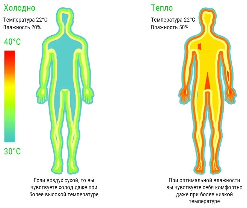 Почему тело холодное. Комфортная влажность для человека. Комфортная температура для человека. Влажность воздуха для человека. Воздействие высоких и низких температур.