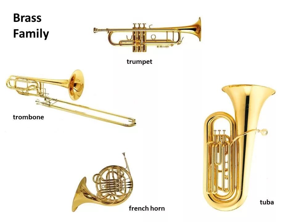 Brass инструмент музыкальный. Строение трубы музыкальный инструмент. Строение музыкальной трубы. Труба детский музыкальный инструмент. Труба инструмент на английском.