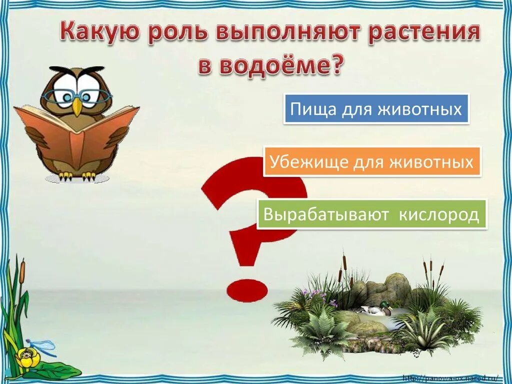 Какую роль выполняет игра. Какую роль в водоеме играют растения. роль растений в жизни водоемов. какую роль выполняют растения. роль растений в пресных водоемах.