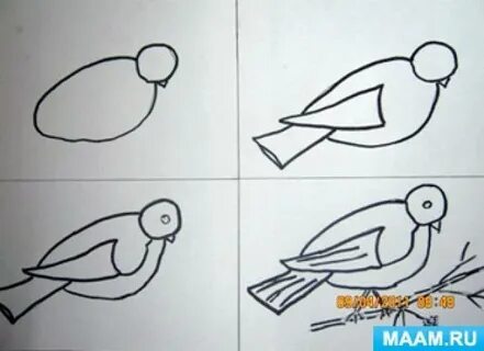 Синие и красные птицы рисование старшая группа