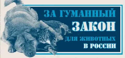 Гуманный закон