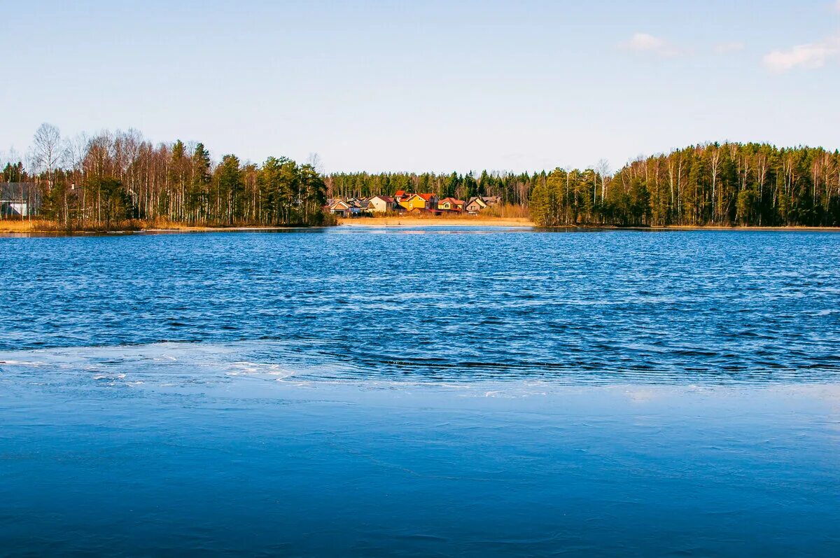 Пионерское озеро красная долина. Озеро медное всеволожский район. Озеро меднозаводский разлив. 47 оз ленинградской. Озеро рядчинское валдайский район.