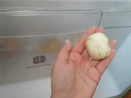 Срок годности шампиньонов в холодильнике свежих