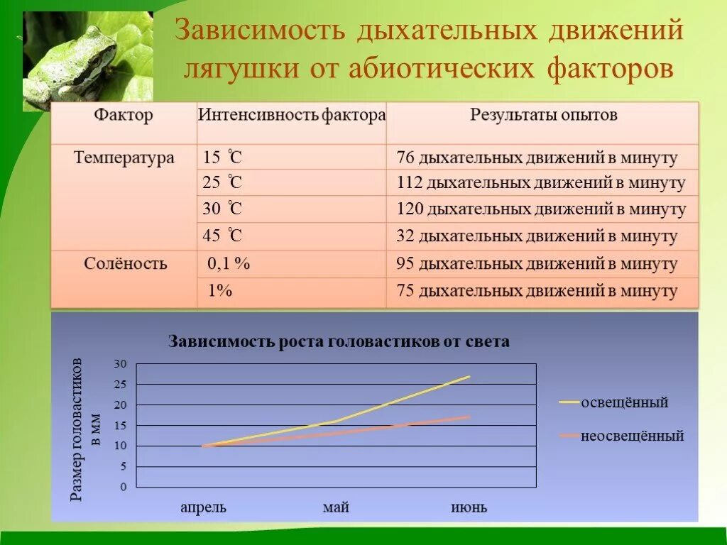 Частота воздуха зависит от. Частота дыхательных движений. ЧДД В зависимости от температуры тела. График частоты дыхательных движений. Температуры тела частота дыхательных движений.