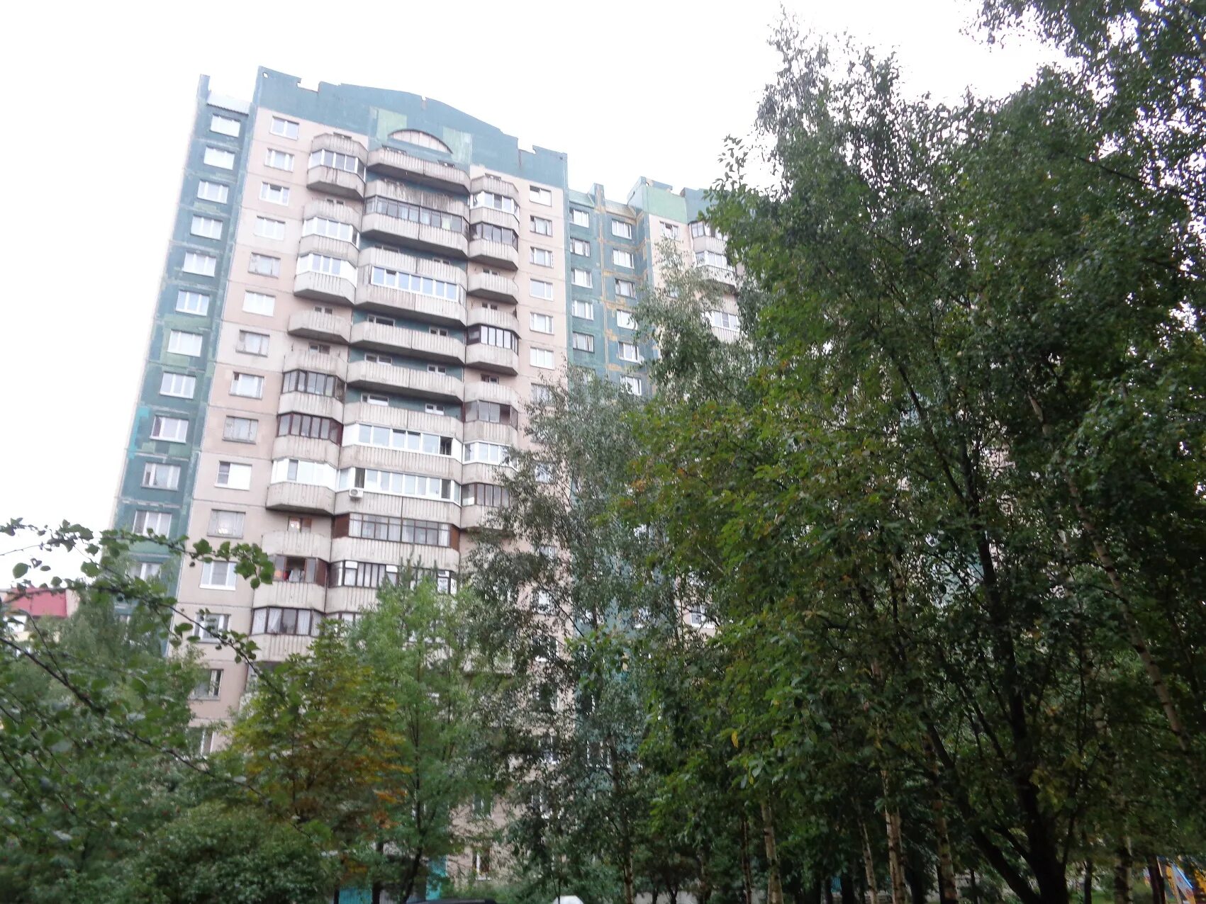 Камышовая улица 17. Камышовая 38 корпус 1. Камышовая ул. Ул камышовая д 38 корп 1. Камышовая улица 46 к1.