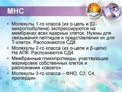 Сд 8