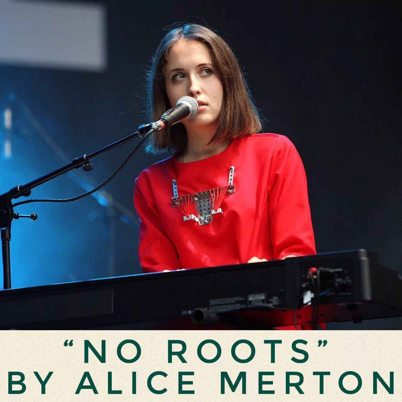 No roots элис мертон текст. Элис Мертон. Элис Мертон фото. Стиль Элис Мертон. Alice Merton no roots.