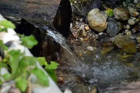 Петрозаводск ключевая вода
