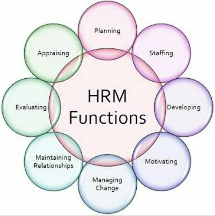 Hrm 3 1 updsetup. Hrm human resource management. hrm functions. hrm картинки. hr functions.