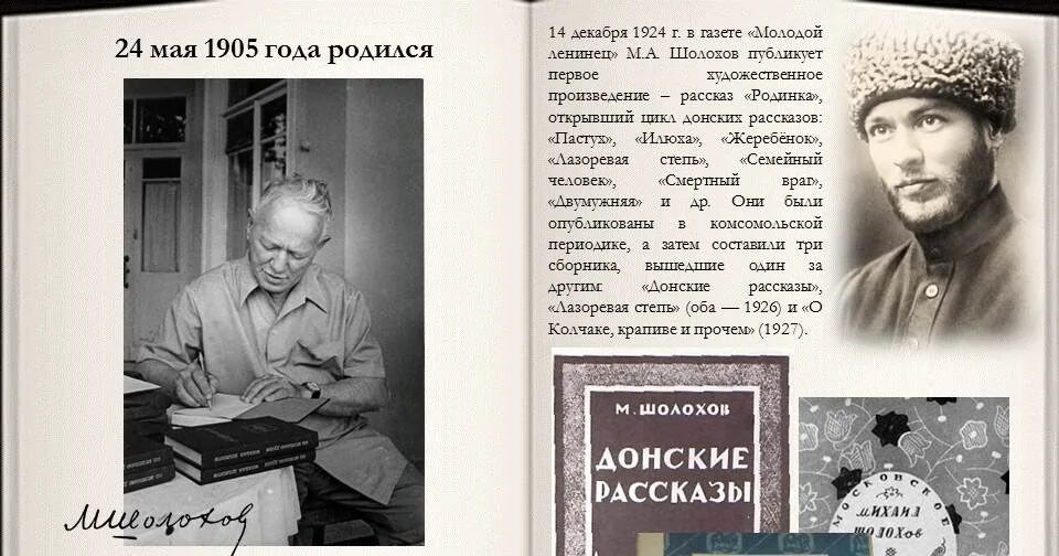 Шолохов о колчаке крапиве и прочем. Молодой Ленинец Шолохов. Газета молодой Ленинец Шолохов 1924. Илюха Донские рассказы.