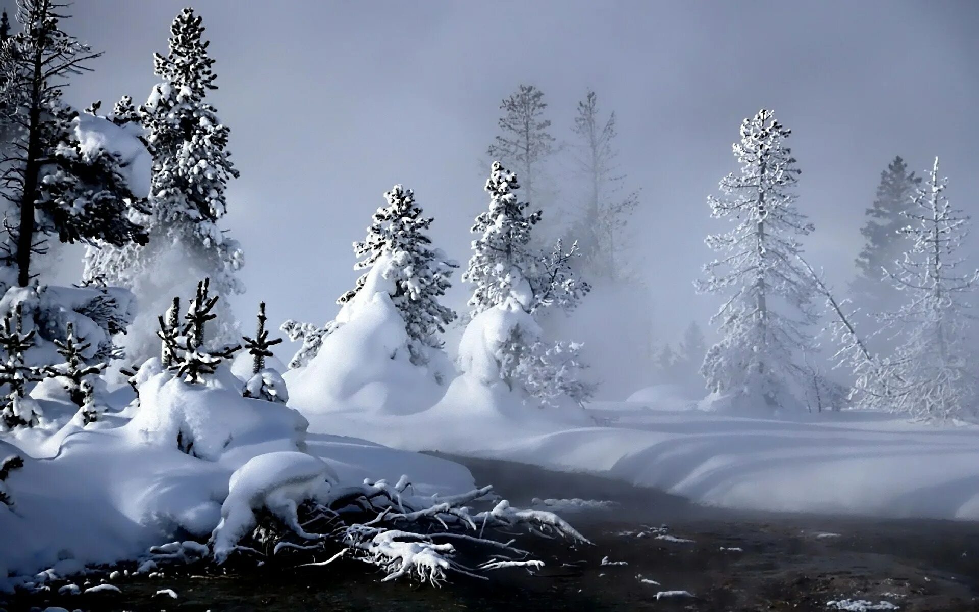 Винтер winter. Радость зимой. Зима. Winter has come. Красивый зимний фон.