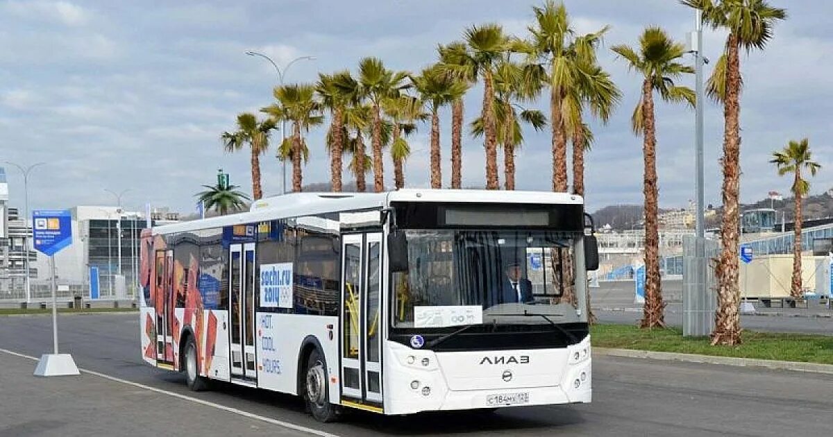 Управление транспорта сочи. Транспорт в олимпийском парке сочи. автобус. автобусы сочи. городской автобус.