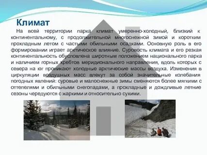 Умеренное холодная зима умеренно влажное лето