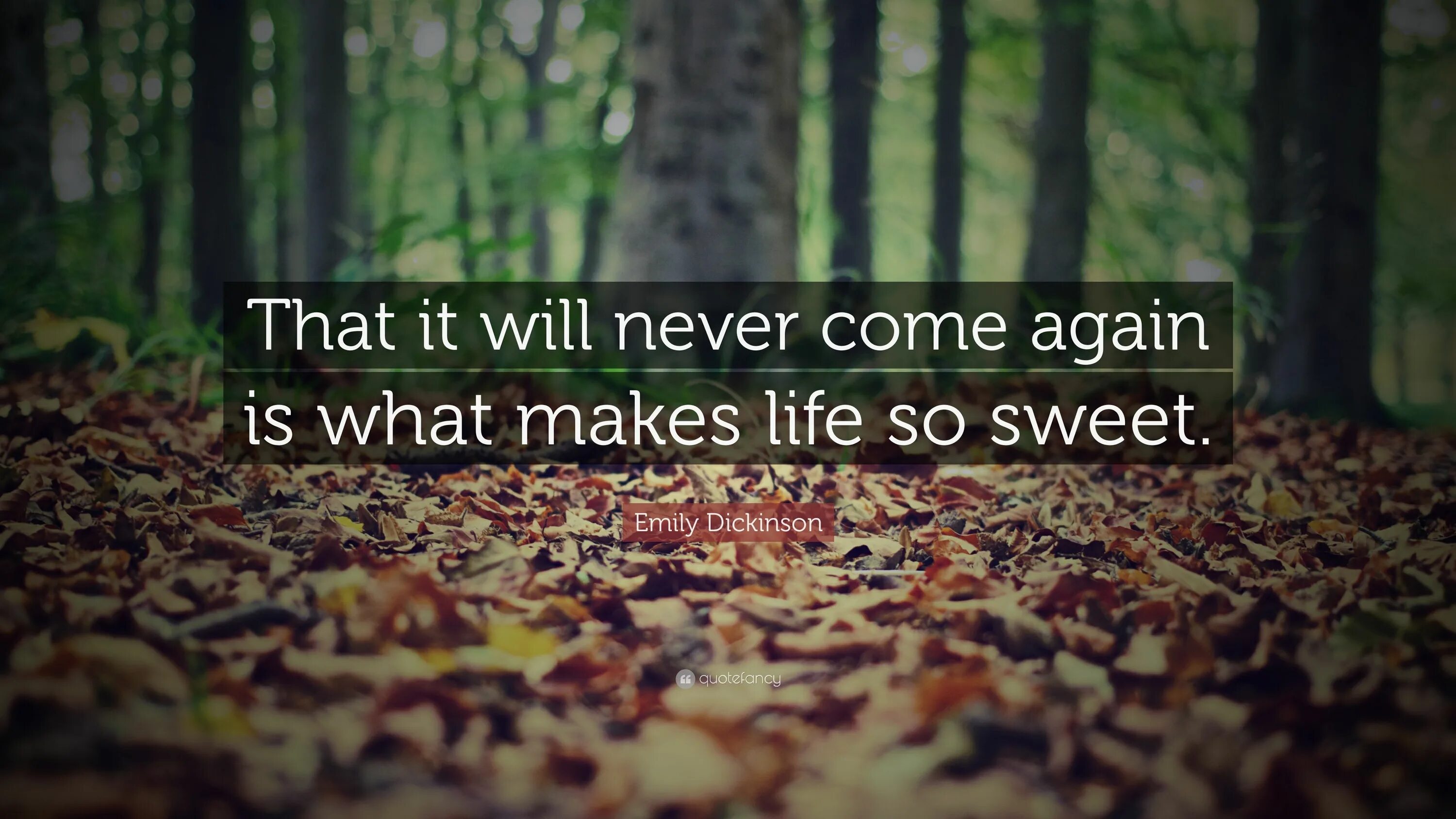 Can mean life. The meaning of Life is to find your Gift. The meaning of Life is to give Life meaning. There is Life.