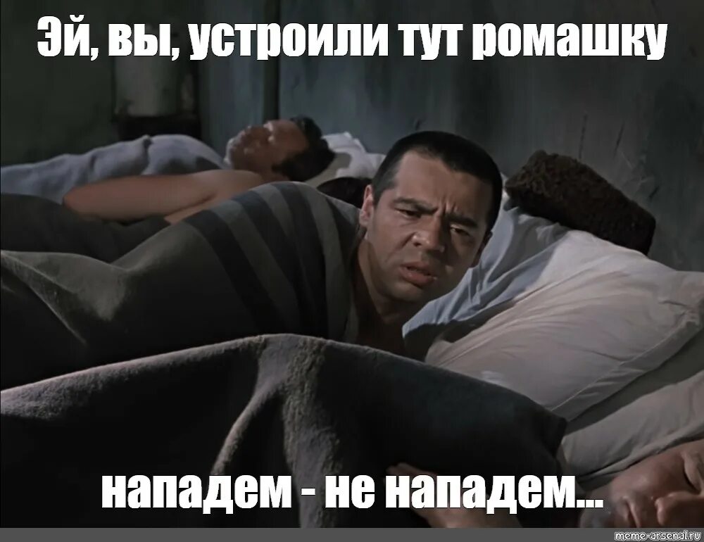Устроили тут Ромашка. Устроили тут Ромашка помню. Устроили тут Ромашка помню не помню дайте спать. Устроили ромашку помню не помню