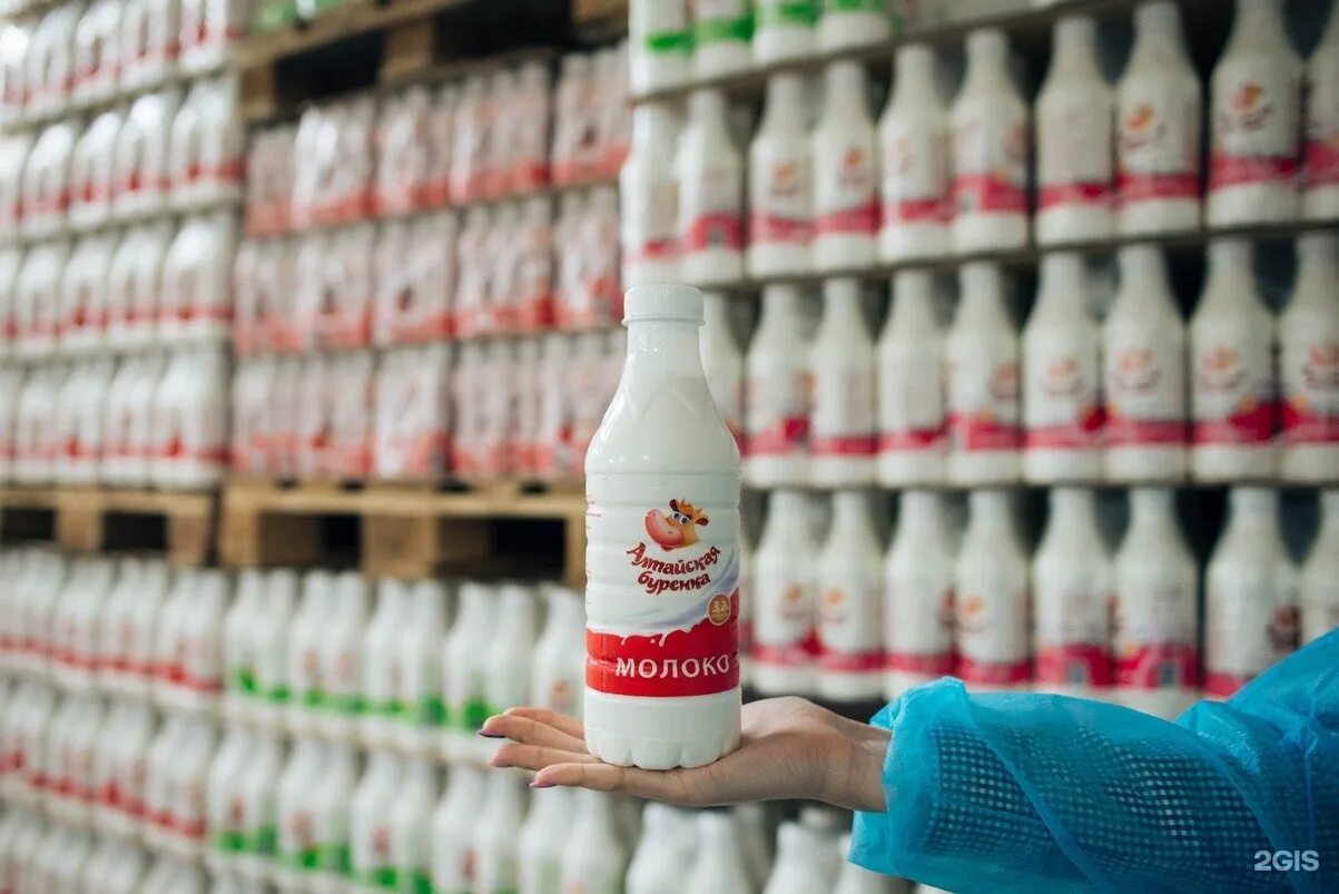 продают молоко на улице. молоко в бочках на разлив.