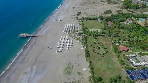 Эйфория барбарос бич