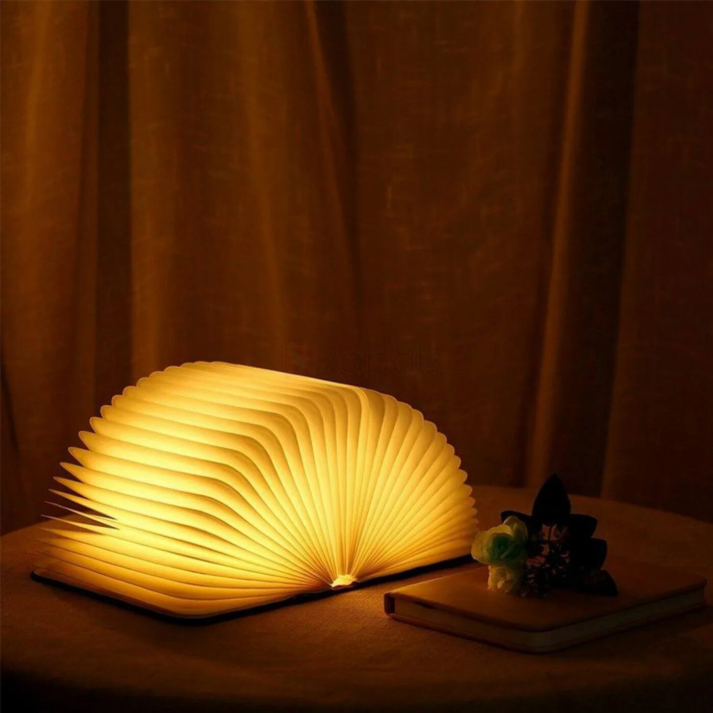 The lamp is the book