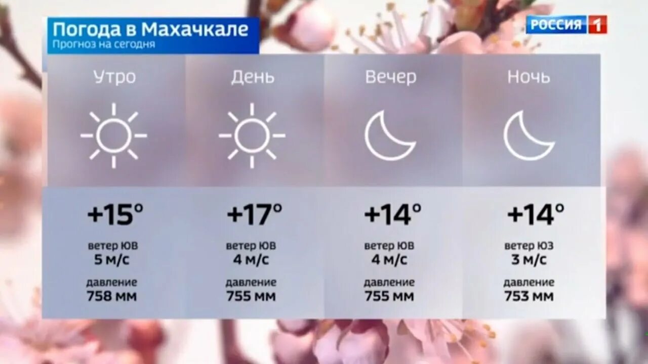 Какая погода в дагестане. Прогноз погоды в Дагестане. Прогноз погоды в Дагестане на неделю. Погода на завтра в Дагестане. Прогноз погоды Дагестане завтра.