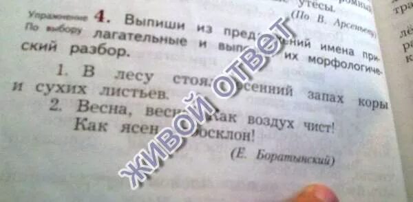 Выпиши из предложения прилагательные. Осенний запах морфологический разбор. Морфологический разбор слова осенний. Морфологический разбор запах. Морфологический разбор слова листья.