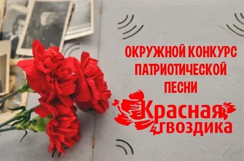Красная гвоздика патриотическая песня