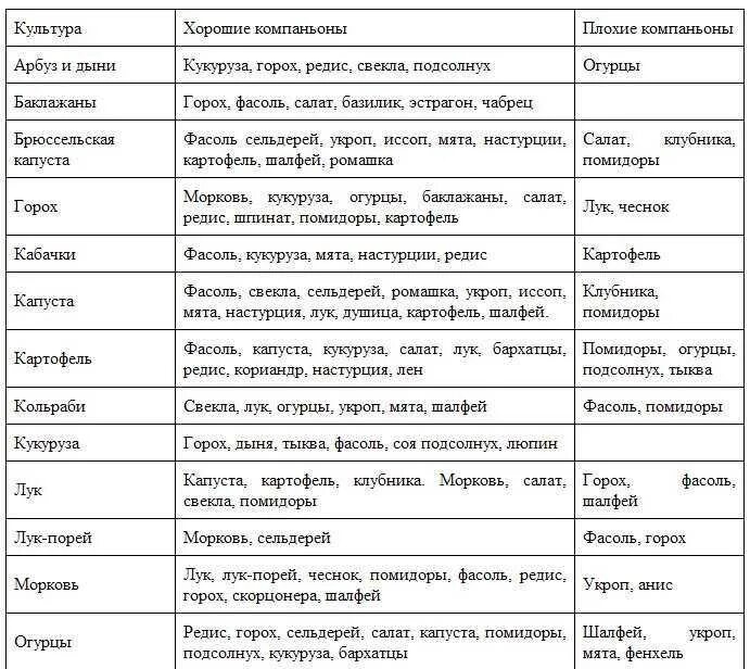 Соседство овощей на грядках таблица совместимости растений. Совместимые посадки овощей в огороде таблица. Совместимость посадок овощей на грядках таблица. Совместимость овощных культур при посадке на грядке таблица. Совместные посадки овощей на грядке таблица.