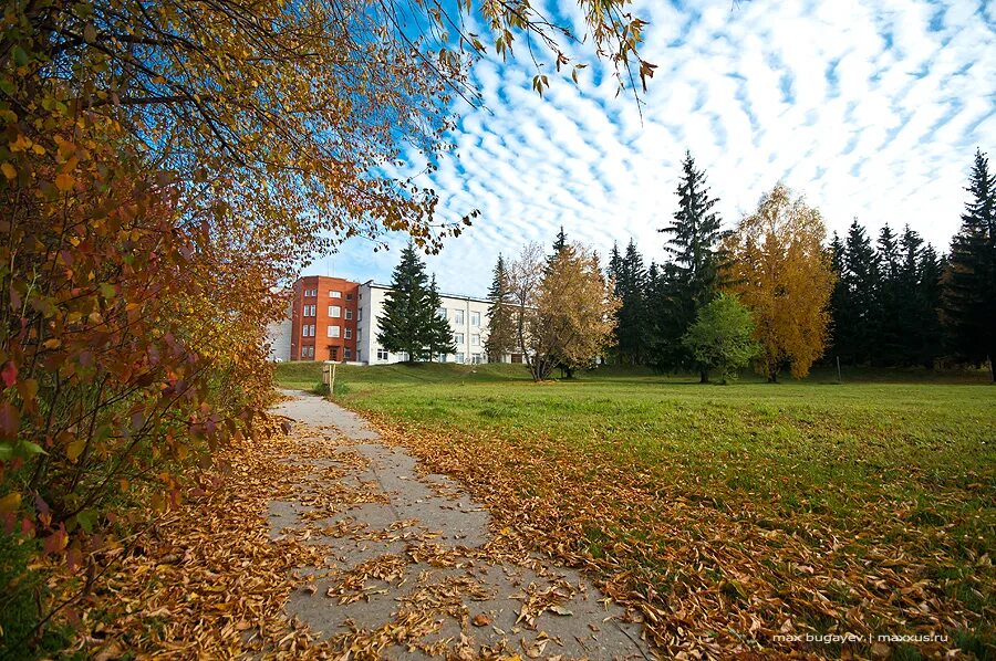 Печать академгородок. Академгородок новосибирск. лес академгородка новосибирск.