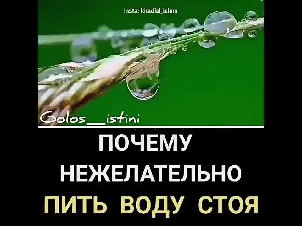 Хадис про пить воду стоя. Почему нельзя пить воду стоя. Почему мусульманам нельзя пить воду стоя. Почему нельзя пить стоя в Исламе. Почему нельзя пить стоя