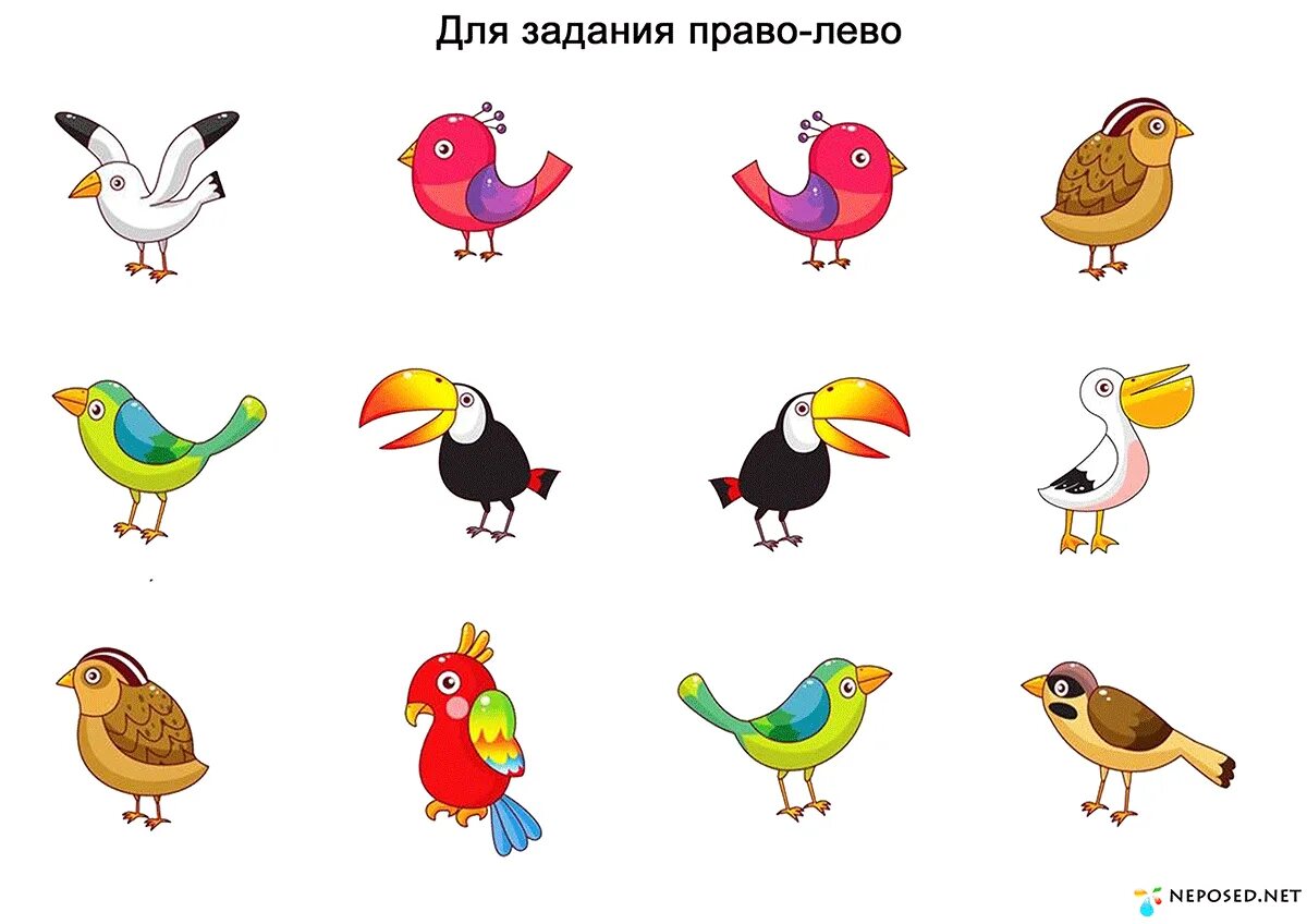 Птицы задания для дошкольников. Птицы задание для детей 3 лет. Право-лево для дошкольников. Развивающие задания птицы для дошкольников.