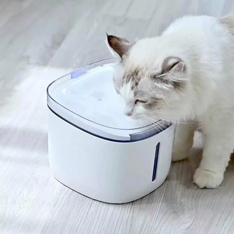 Автопоилка Xiaomi Petoneer Smart Pet Water Dispenser. Дозатор воды для животных Xiaomi Kitten&Puppy Water Dispenser. Автопоилка для животных Xiaomi Smart Water Dispenser White. Умная поилка для животных Xiaomi Kitten&Puppy Water Dispenser. Xiaomi pet fountain