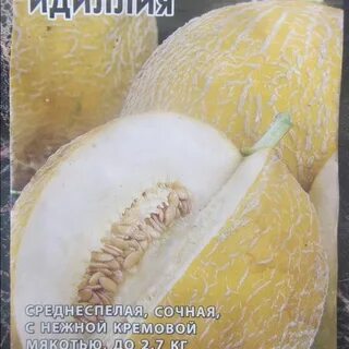 Дыня идиллия