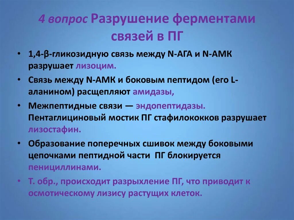 Какой фермент разрушает