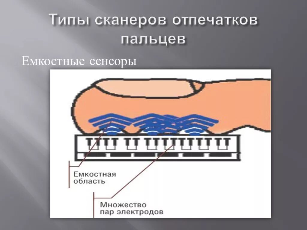 Почему датчик отпечатка. Емкостный сканер отпечатков пальцев. типы сканеров отпечатков пальцев. сканер отпечатков пальцев сбоку (емкостный). сканер отпечатка пальца принцип работы.