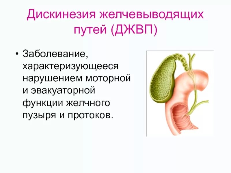 Джвп форум. Дискинезия желчевыводящих путей анатомия. Желчевыводящие пути функции желчевыводящих путей. Желчевыводящие пути функции желчи. Функции желчьных потоков.