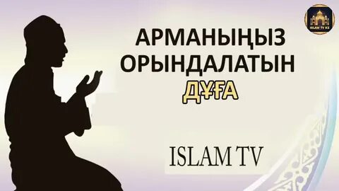 Шоуда ұрып-соғу