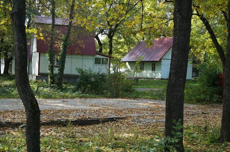 Луговое самара. Турбаза луговое. Луговое турбаза безенчукский. Луговое самара. Луговое самара.