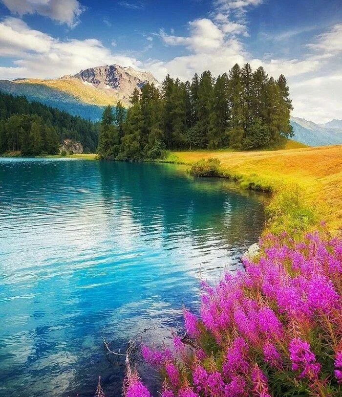 Красивые яркие пейзажи. Картинки красочные природа. Яркая природа. Красивая природа. Картинки красочные природа.