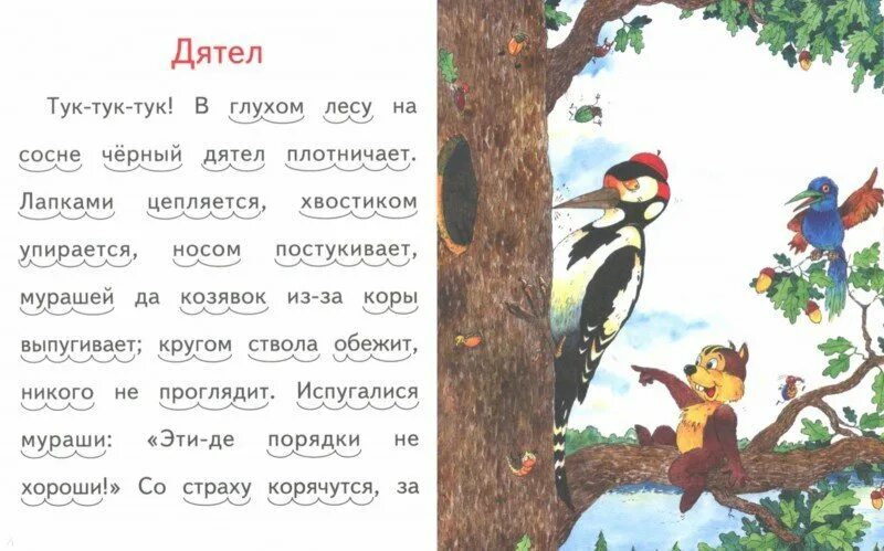 Лапками цепляется хвостиком упирается носом постукивает. Тук тук тук в глухом лесу на сосне черный дятел плотничает лапками. В глухом лесу на сосне черный дятел плотничает. Тук тук тук в глухом лесу. Дятел плотничает.