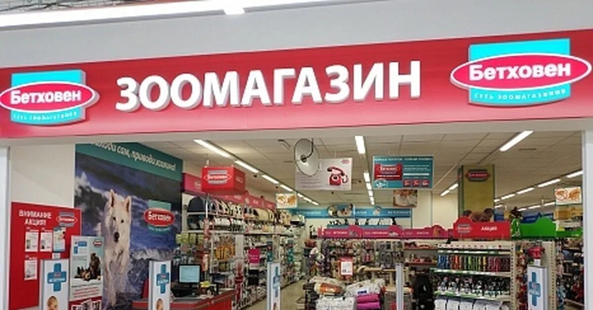 Бетховен интернет. Бетховен интернет. Бетховен хабаровск. Бетховен магазин зоотоваров москва. Бетховен логотип.
