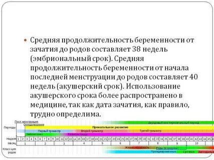 Какой считается нормальная беременность