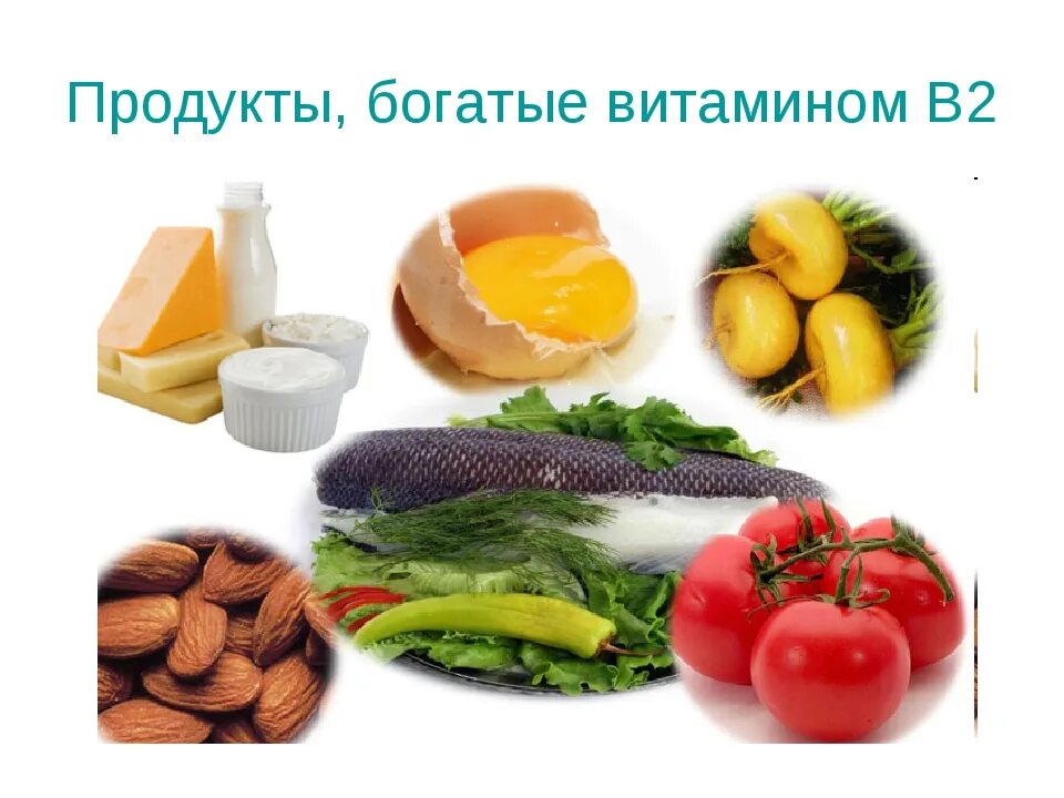 Б2 содержится